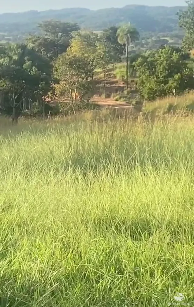 Fazenda, 363 hectares - Foto 2