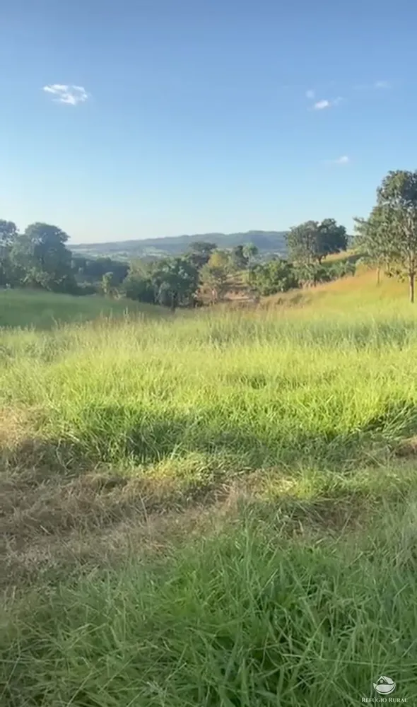 Fazenda, 363 hectares - Foto 1