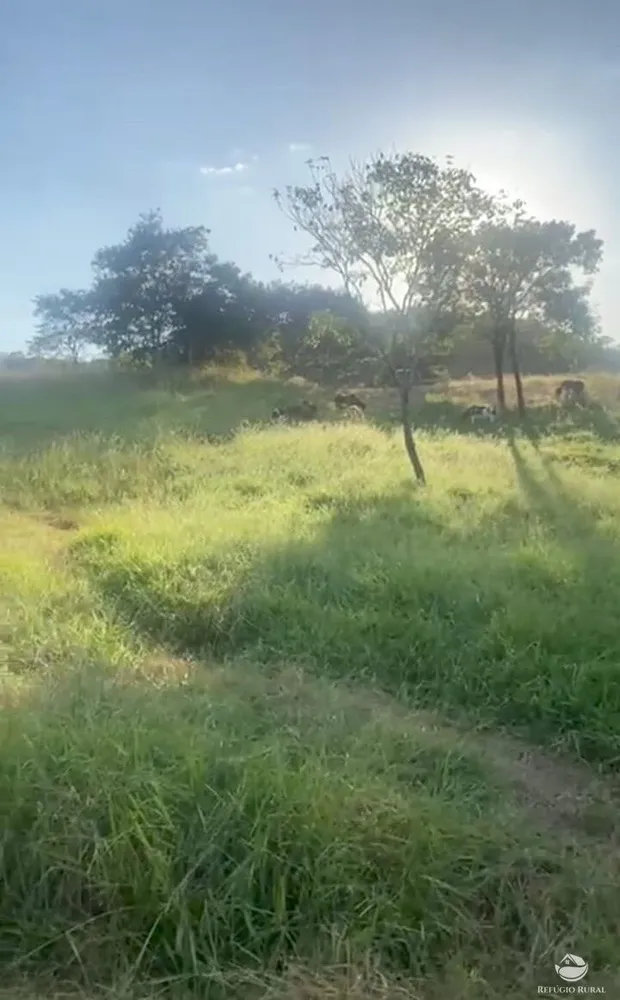 Fazenda, 363 hectares - Foto 3