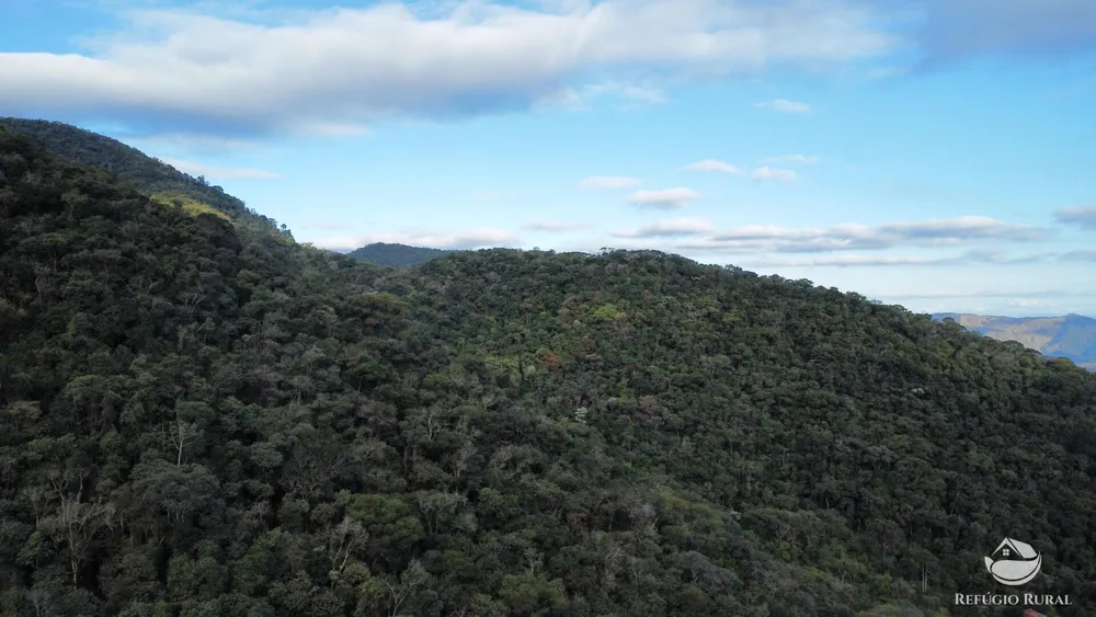 Fazenda, 484 hectares - Foto 6