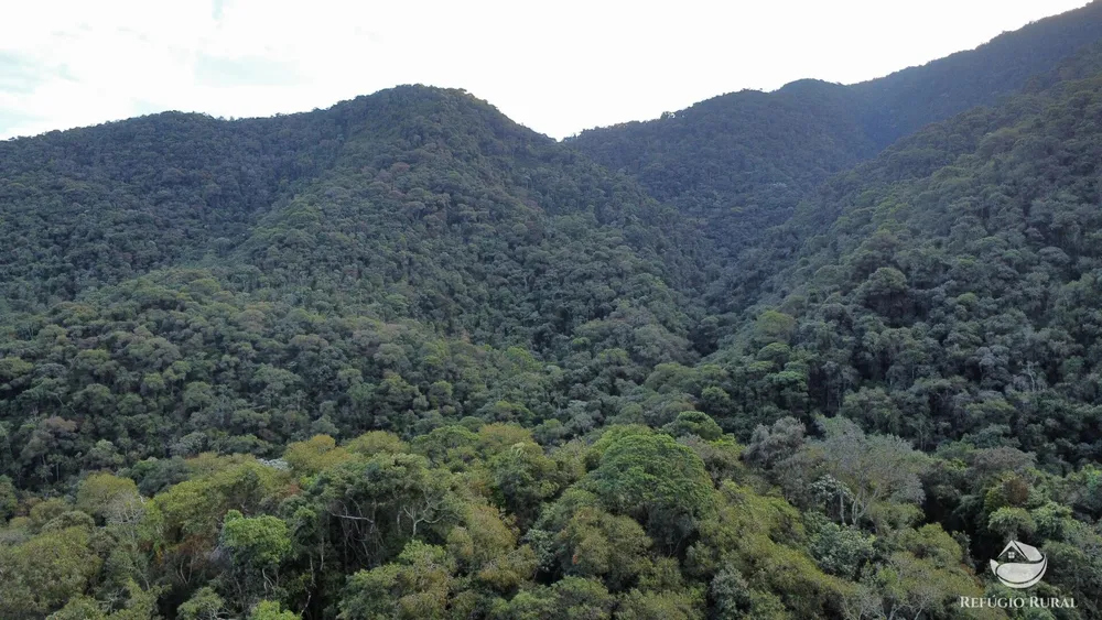 Fazenda, 484 hectares - Foto 4