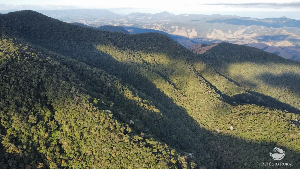 Fazenda, 484 hectares - Foto 8