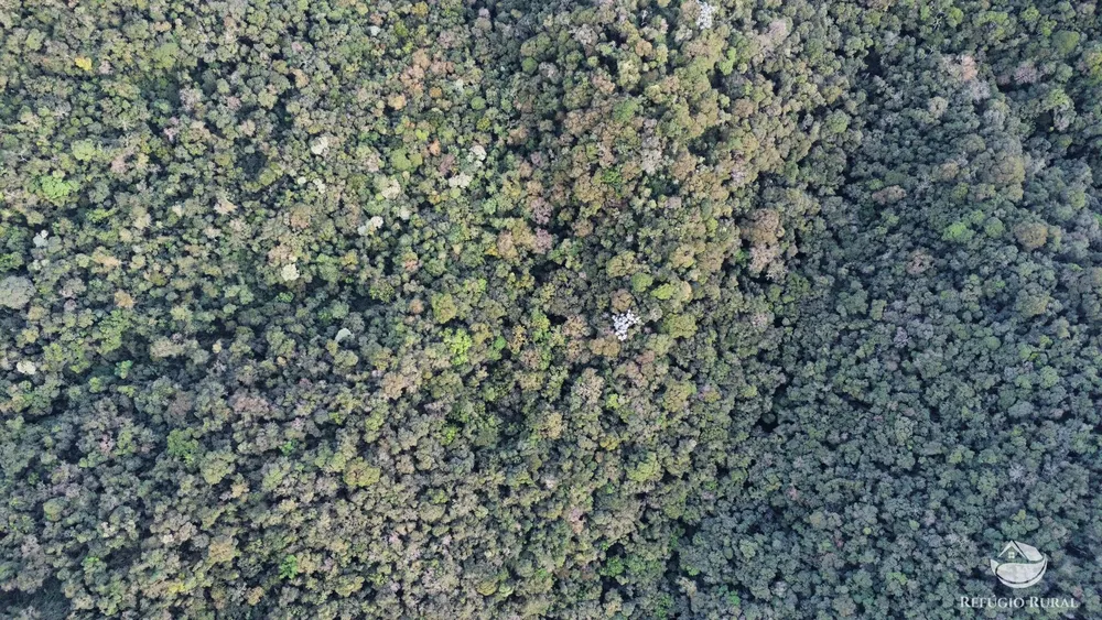 Fazenda, 484 hectares - Foto 14
