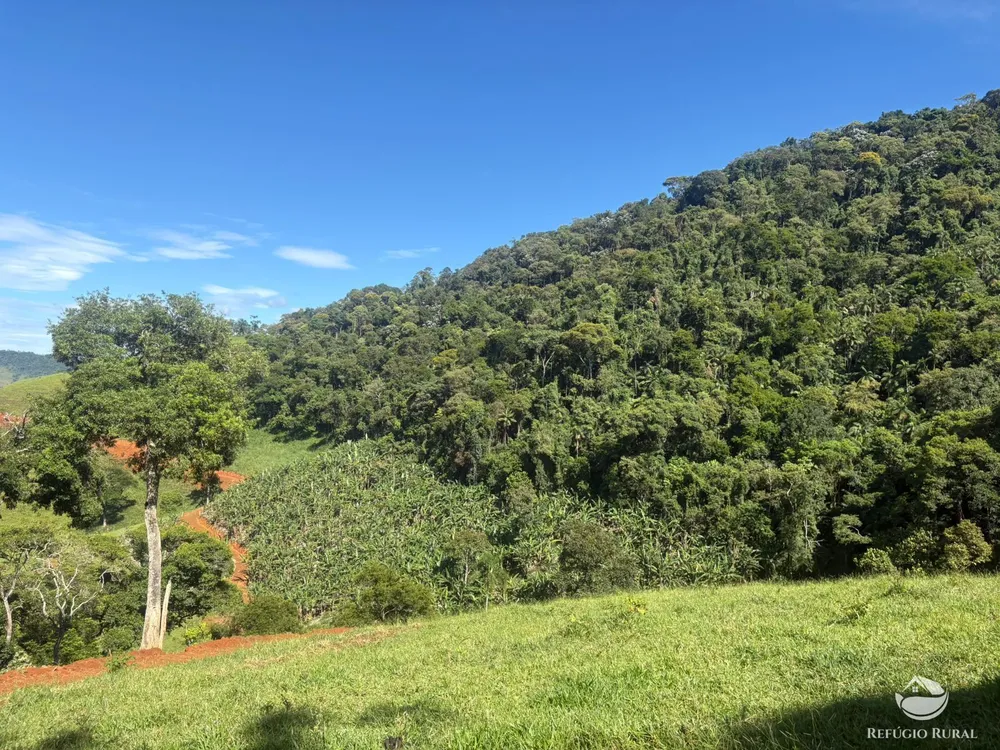 Terreno, 3 hectares - Foto 7