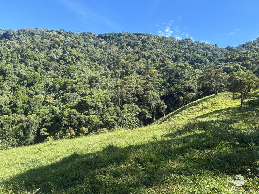 Terreno, 3 hectares - Foto 3