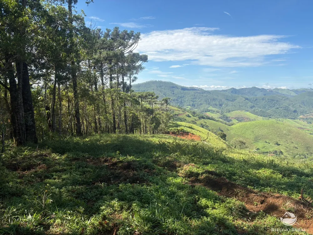 Terreno, 3 hectares - Foto 14