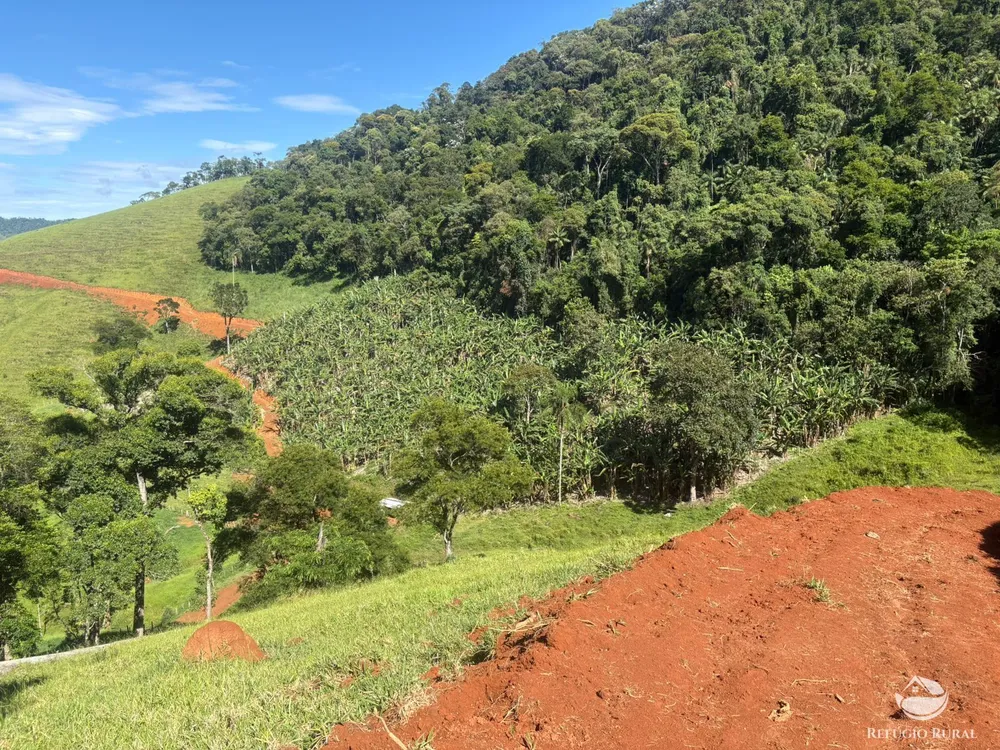 Terreno, 3 hectares - Foto 6