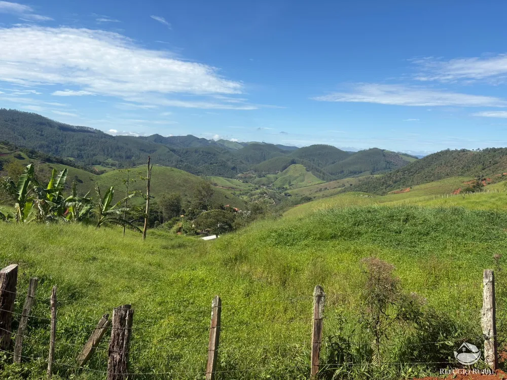 Terreno, 3 hectares - Foto 13