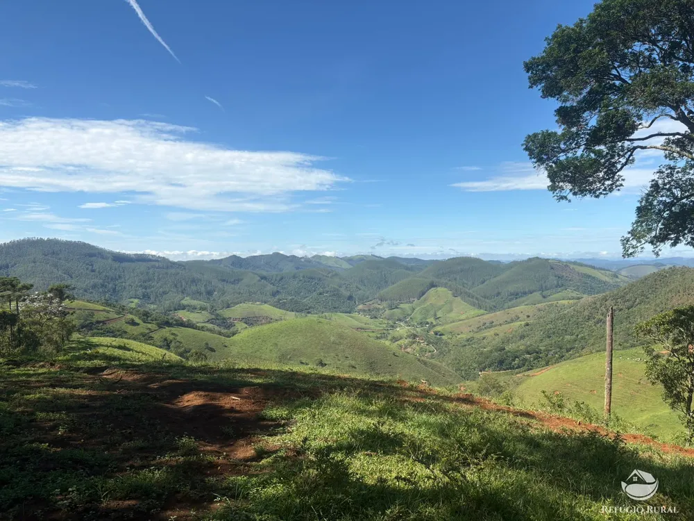 Terreno, 3 hectares - Foto 4