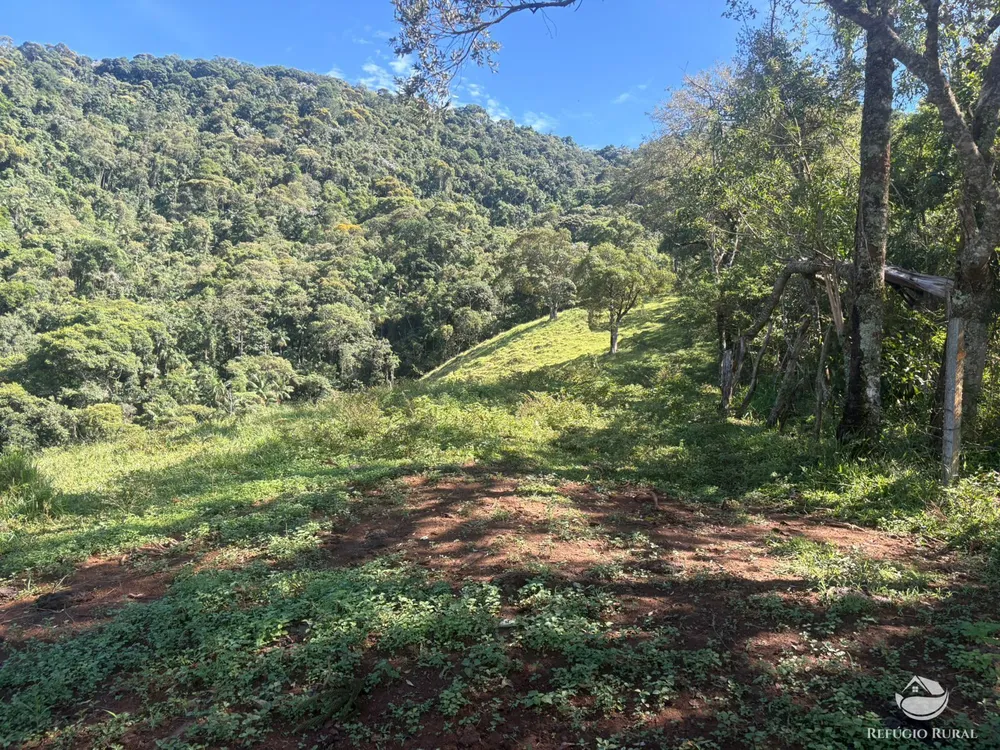 Terreno, 3 hectares - Foto 15