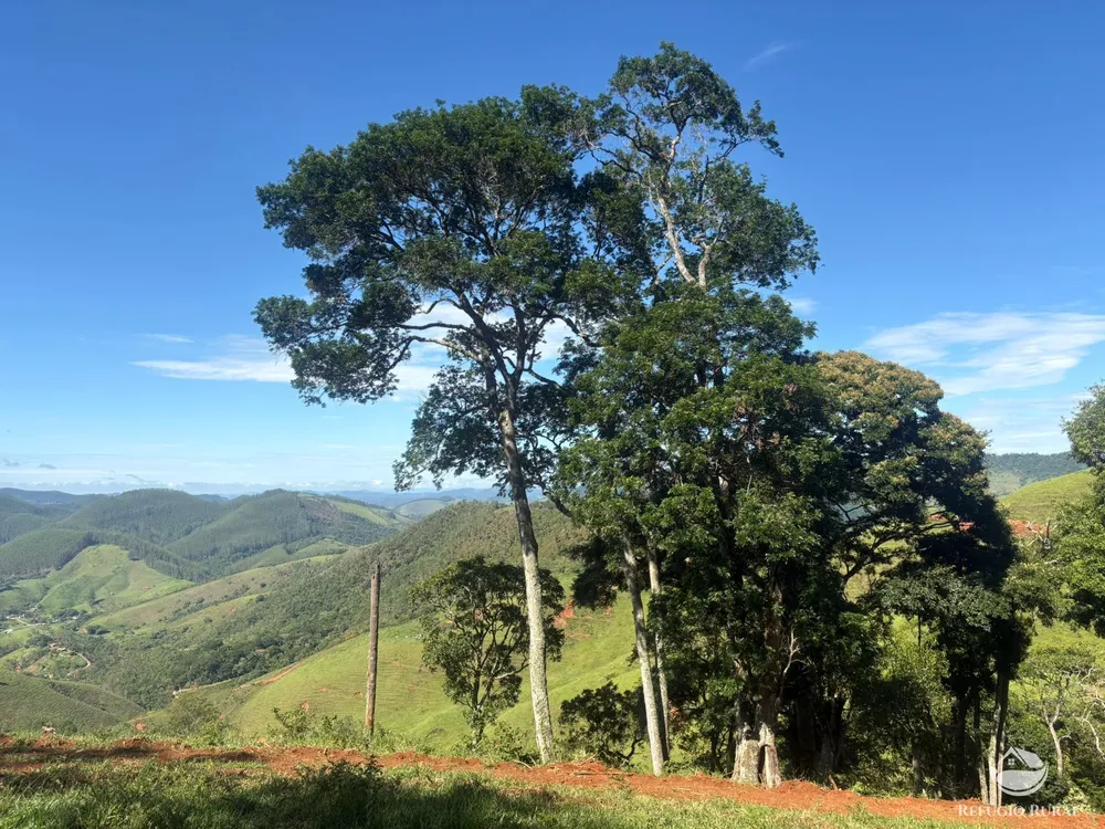 Terreno, 3 hectares - Foto 10