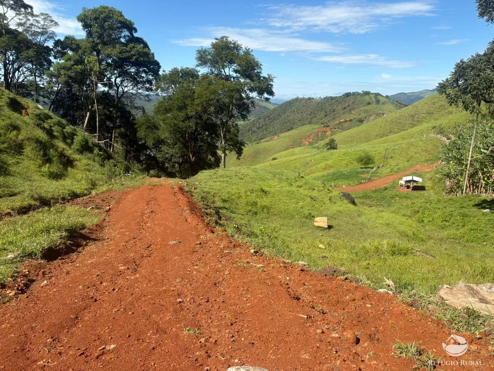 Terreno, 3 hectares - Foto 8