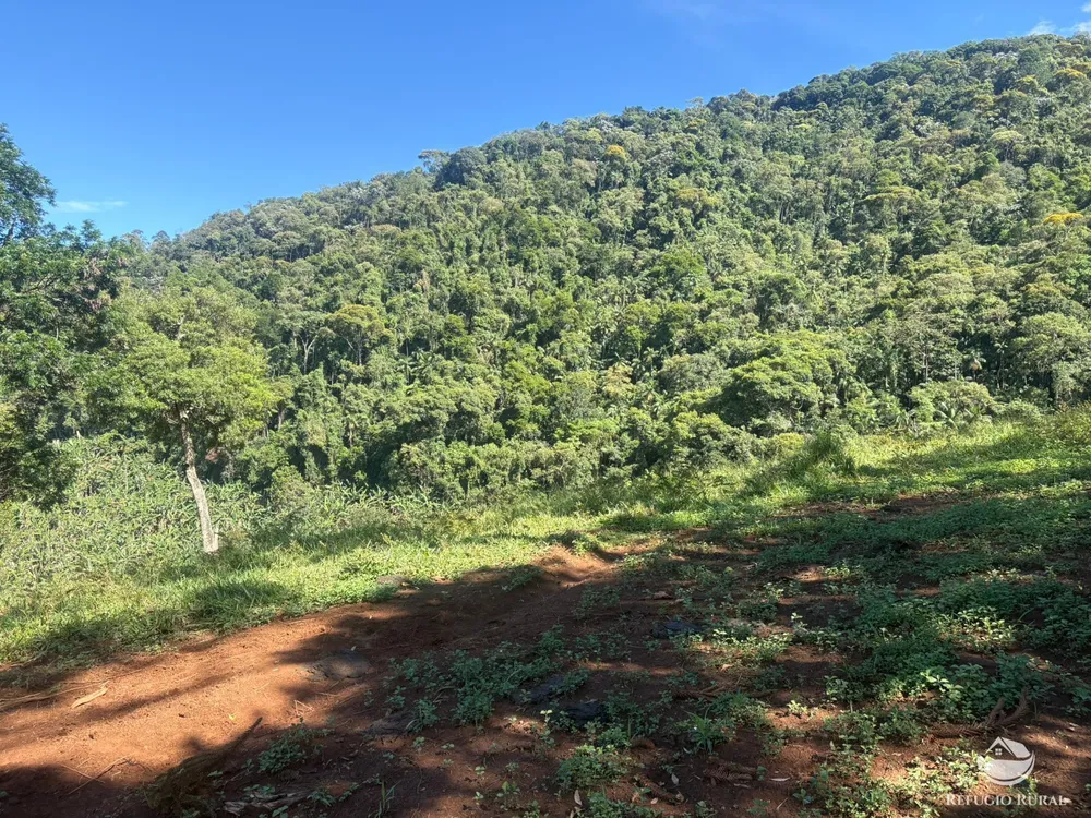 Terreno, 3 hectares - Foto 16