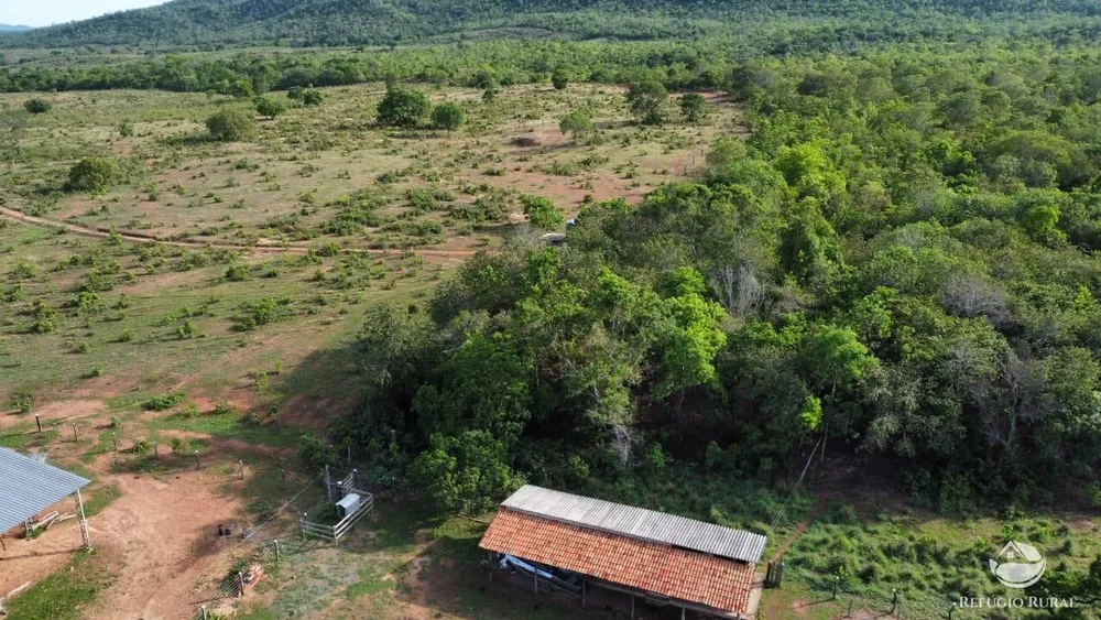 Fazenda, 1423 hectares - Foto 1