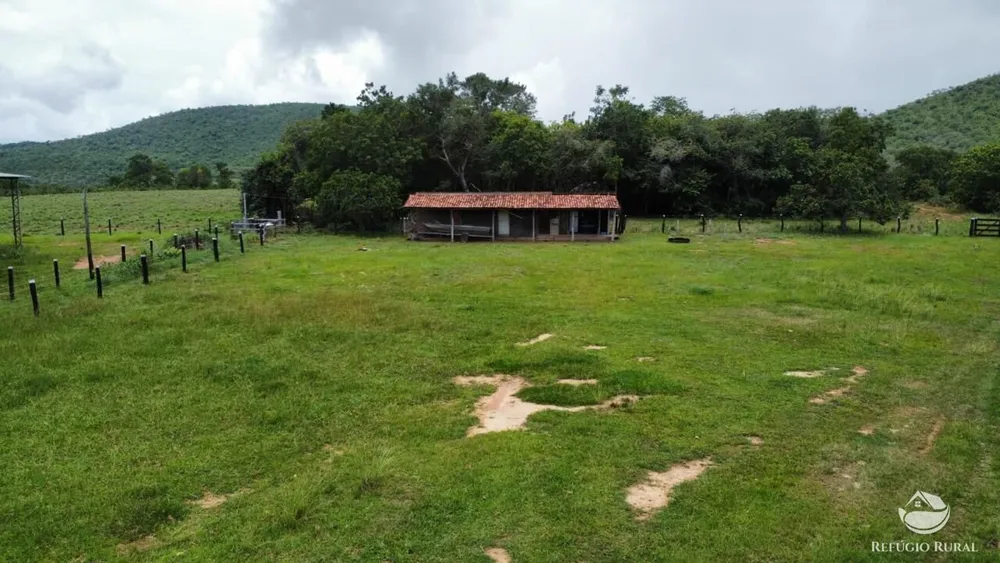 Fazenda, 1423 hectares - Foto 16