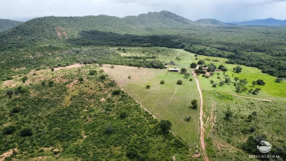 Fazenda, 1423 hectares - Foto 12