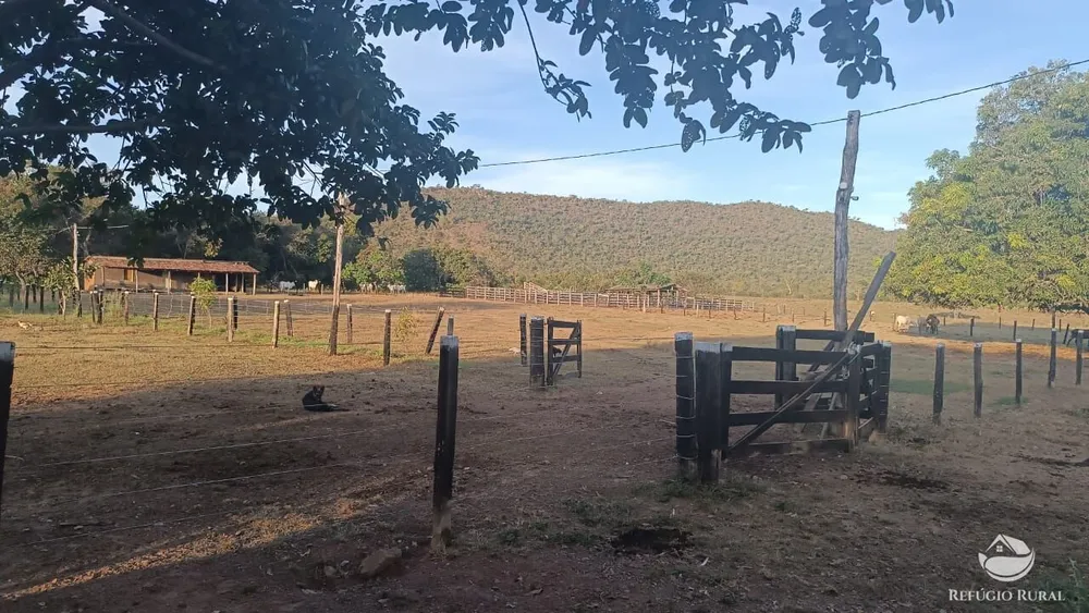 Fazenda, 1423 hectares - Foto 7