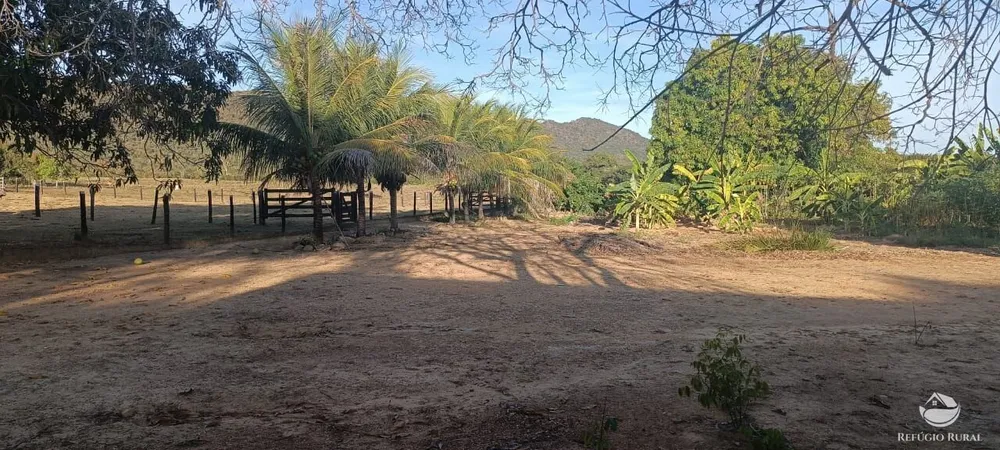 Fazenda, 1423 hectares - Foto 6