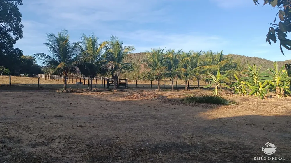 Fazenda, 1423 hectares - Foto 4