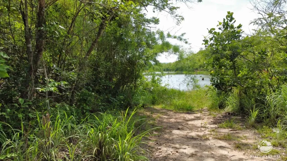 Fazenda, 1423 hectares - Foto 6