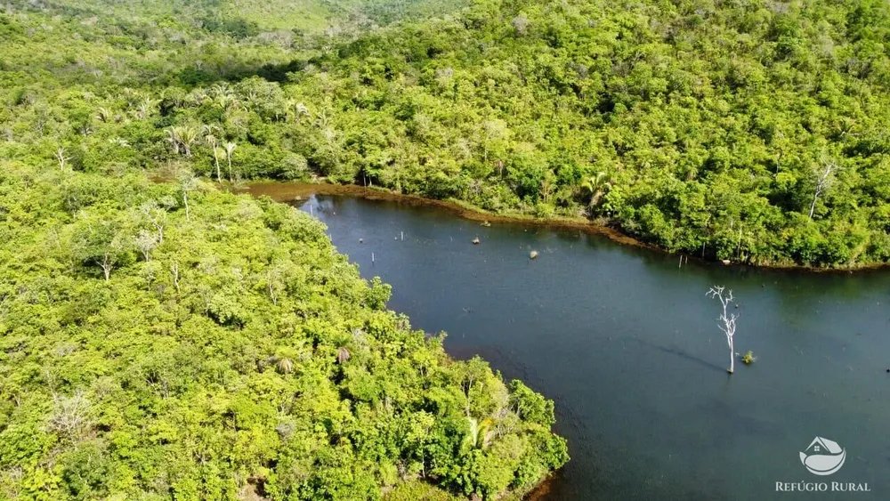 Fazenda, 1423 hectares - Foto 8
