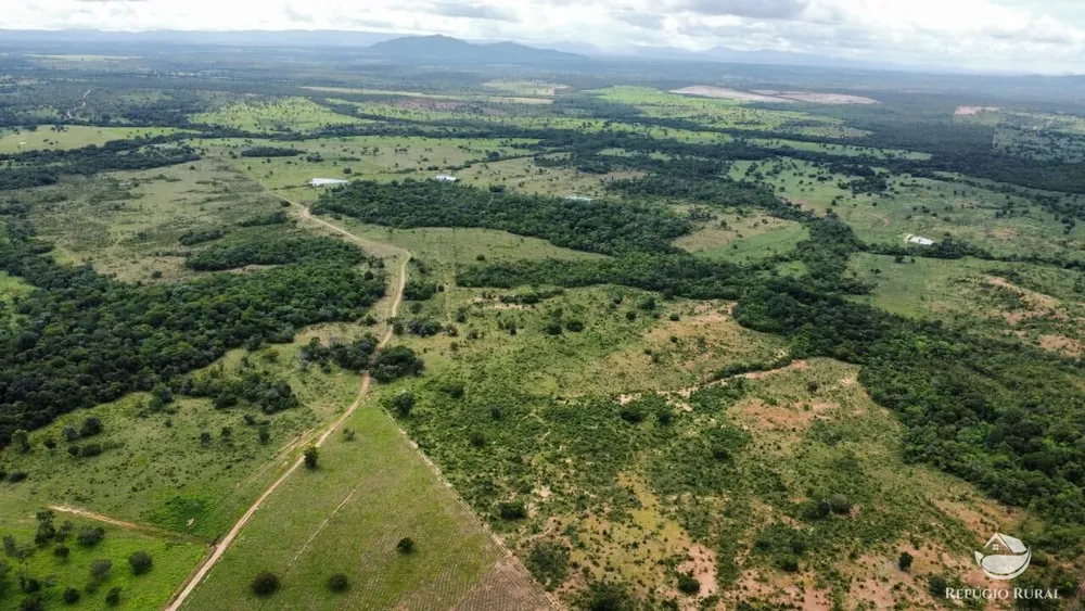 Fazenda, 1423 hectares - Foto 8