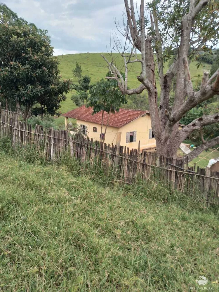 Fazenda, 249 hectares - Foto 3