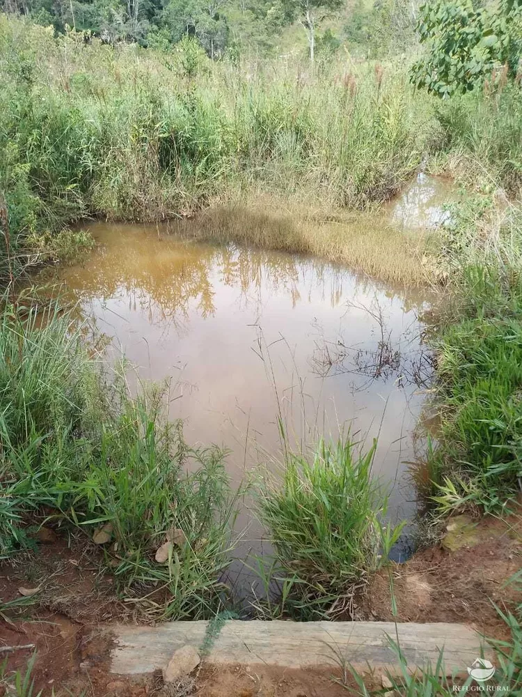Fazenda, 249 hectares - Foto 2