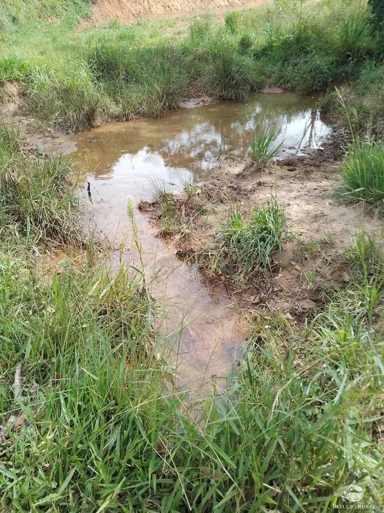 Fazenda, 249 hectares - Foto 1