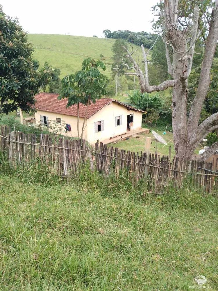 Fazenda, 249 hectares - Foto 4