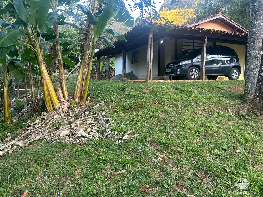 Sítio, 3 hectares - Foto 4