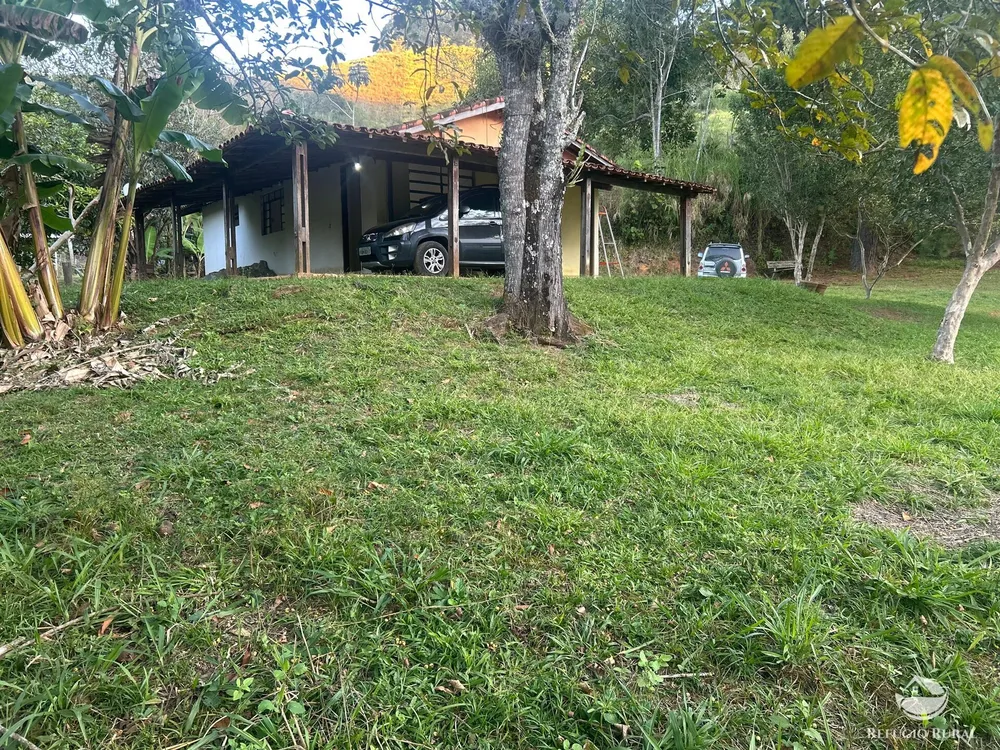 Sítio, 3 hectares - Foto 2