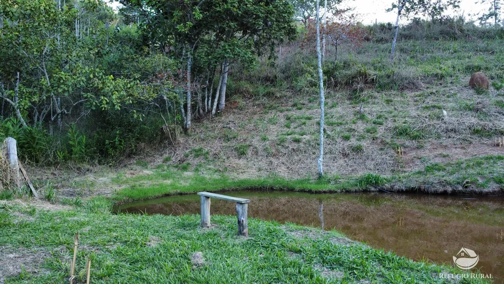 Sítio, 3 hectares - Foto 6