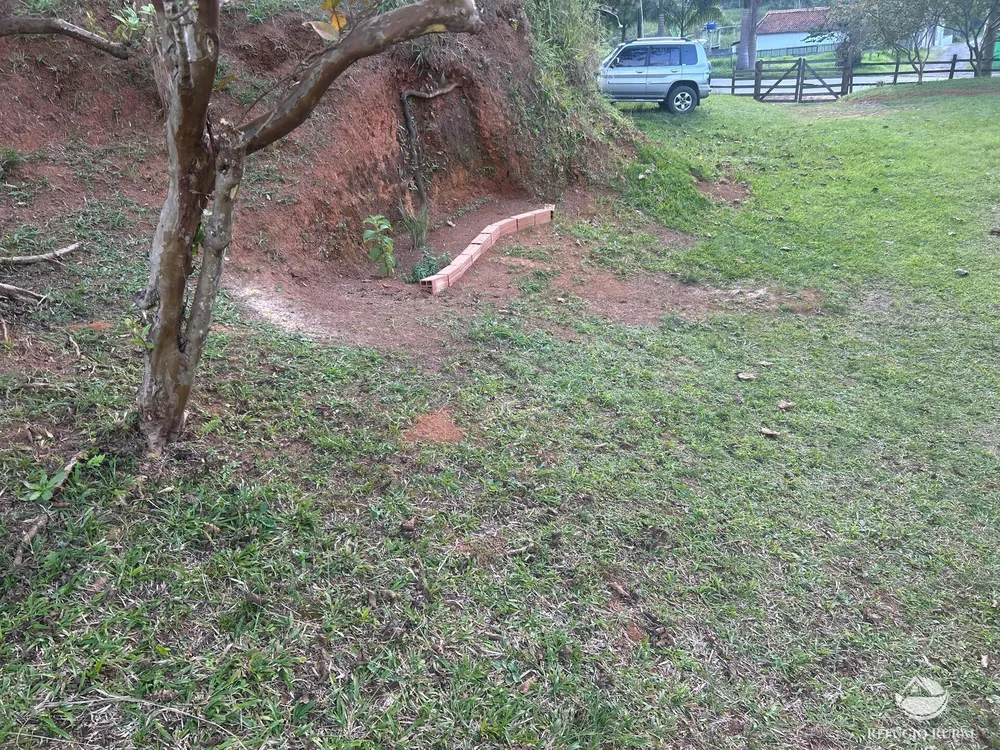 Sítio, 3 hectares - Foto 11