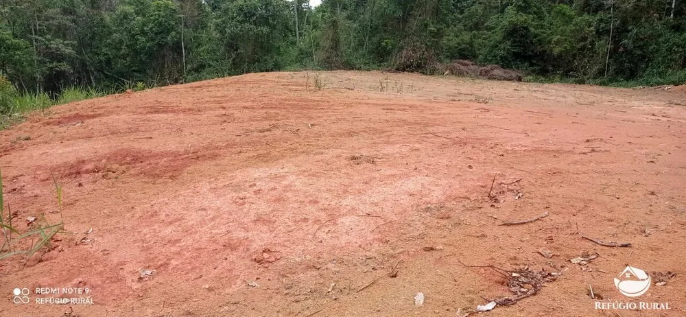 Terreno, 3 hectares - Foto 7