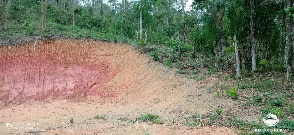 Terreno, 3 hectares - Foto 8