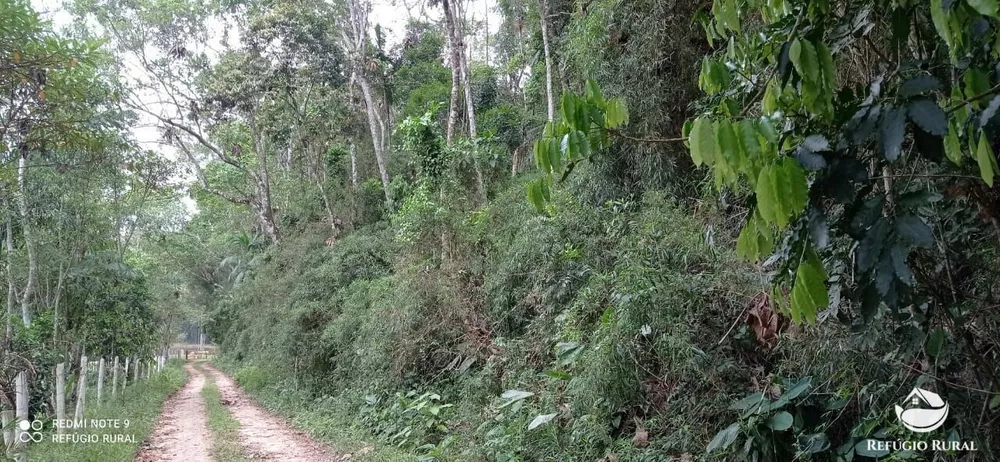 Terreno, 3 hectares - Foto 1