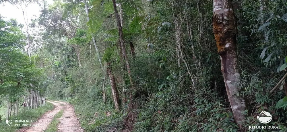 Terreno, 3 hectares - Foto 3