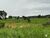 Fazenda, 1930 hectares - Foto 3