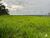 Fazenda, 1930 hectares - Foto 1