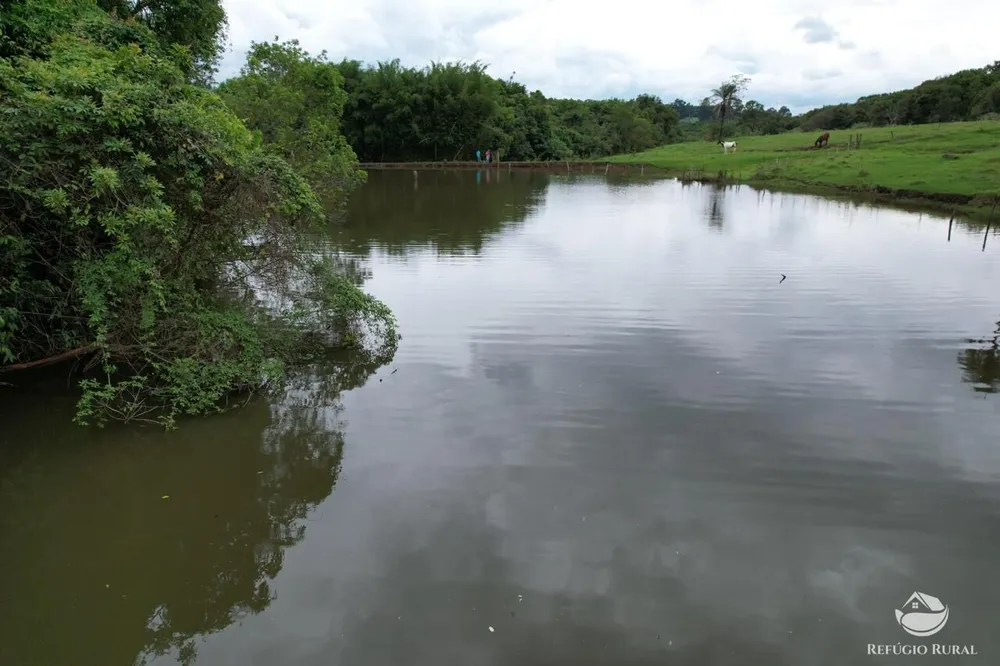 Fazenda, 100 hectares - Foto 8