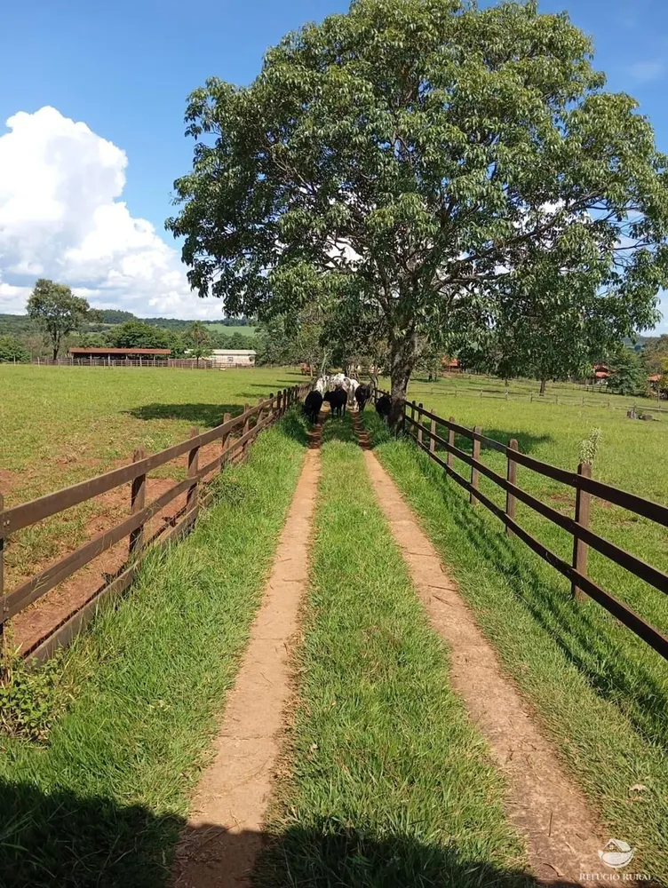 Fazenda, 100 hectares - Foto 4