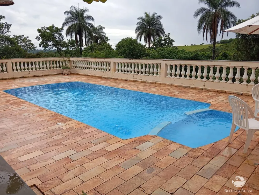 Fazenda, 100 hectares - Foto 12
