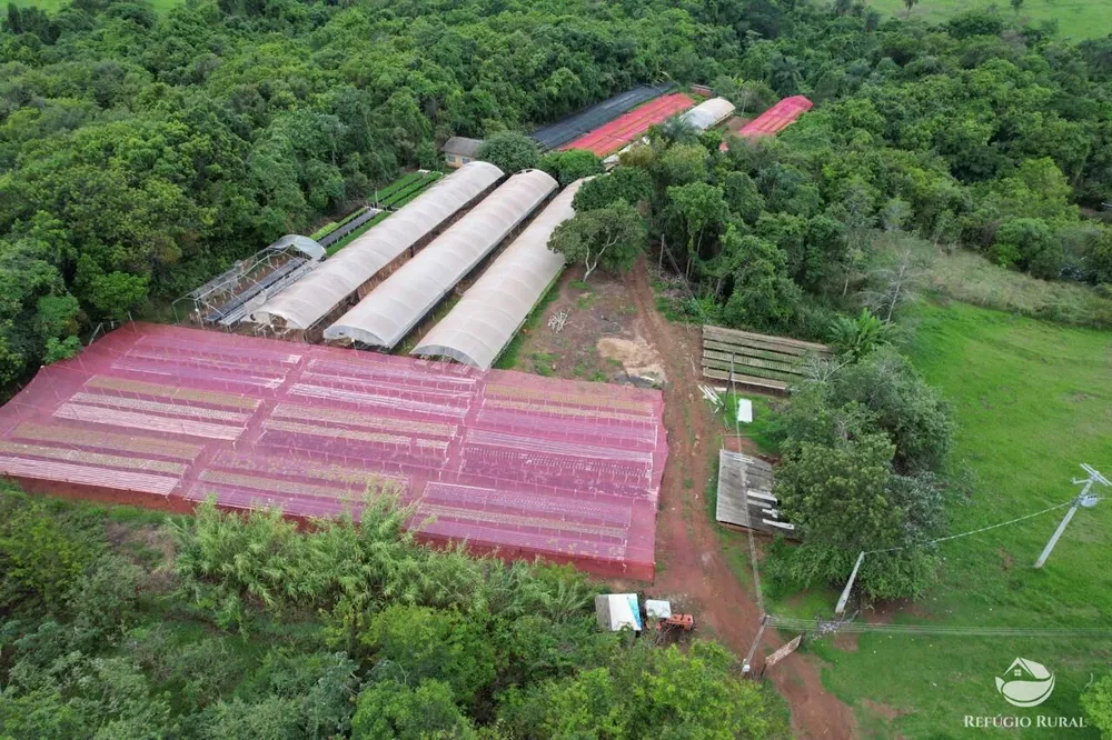 Fazenda, 100 hectares - Foto 2