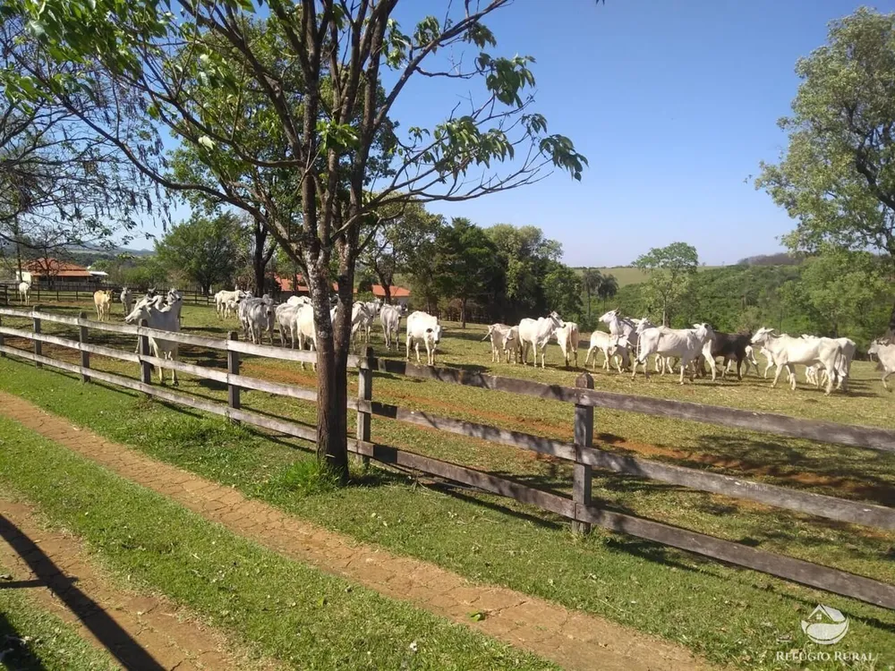 Fazenda, 100 hectares - Foto 9