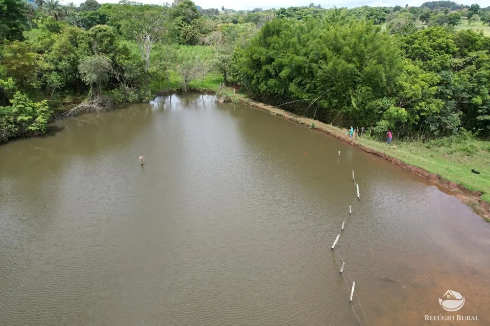 Fazenda, 100 hectares - Foto 7