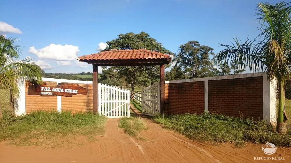 Fazenda, 100 hectares - Foto 5