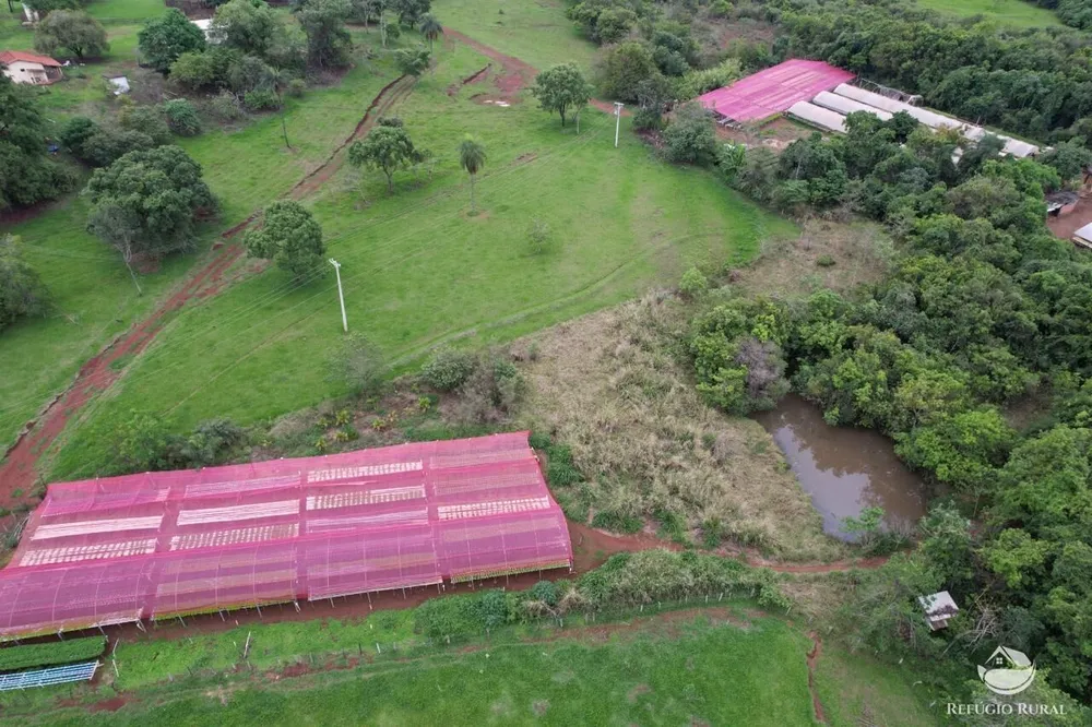 Fazenda, 100 hectares - Foto 3