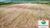 Fazenda-Sítio-Chácara, 2744 hectares - Foto 3