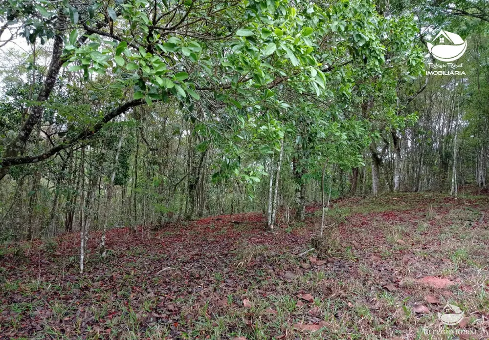 Terreno, 2 hectares - Foto 9